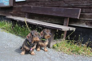 Wanderung und pruefung       